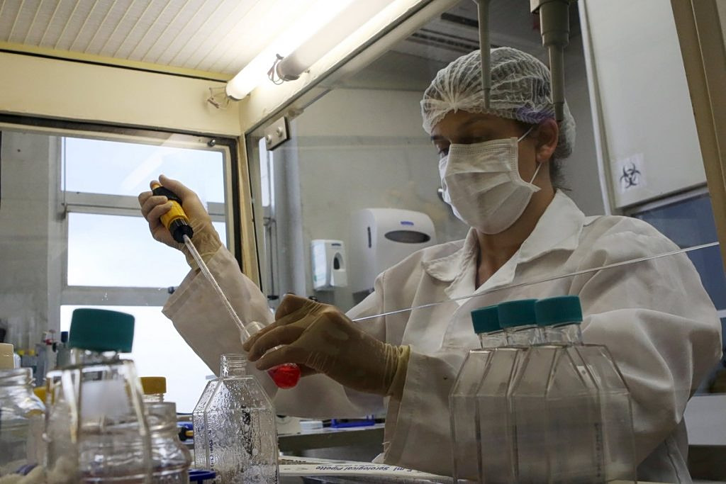 Chikungunya Virus Threat Grows in Europe Amid Climate Change