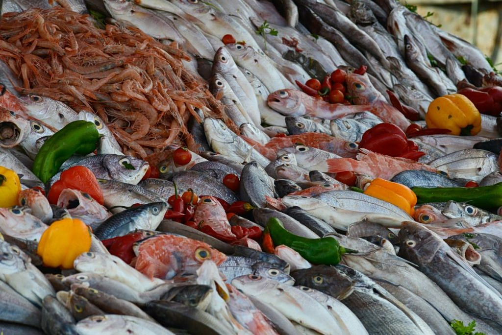 FAO Warns 20% of Global Seafood May Be Fraudulent
