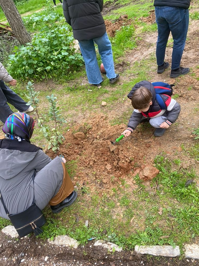 planting trees greece