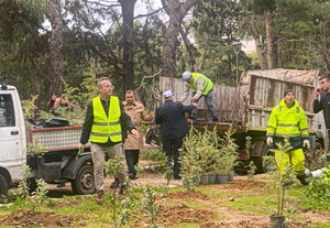 Athens Plants 500 New Trees in Ilisia Park