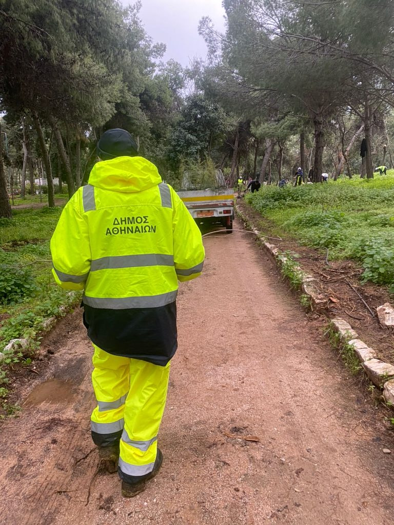 planting trees greece