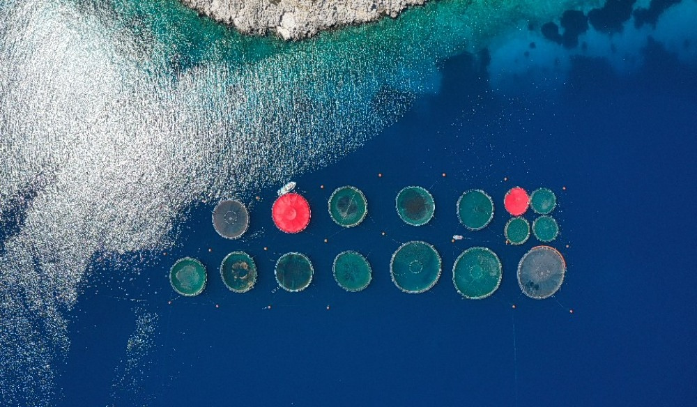 Europe Wants More Fish Farms. Is Greece Ready?