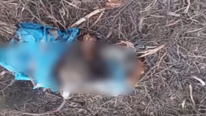 Human Remains Found in Bags in Northern Greece