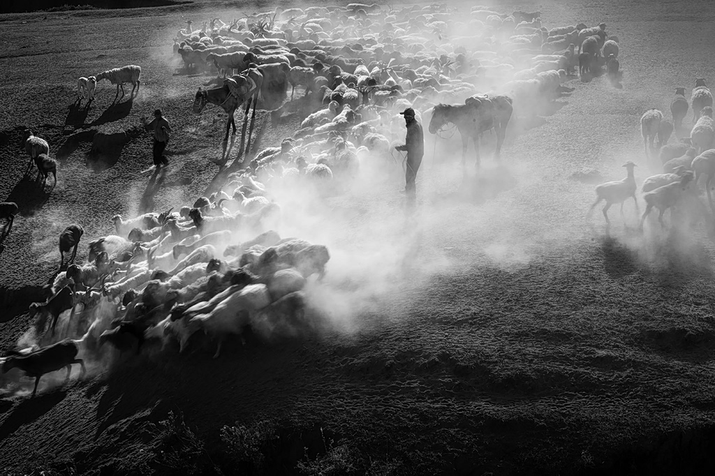 photography festival athens