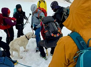 Dog Survives 9 Days Atop Frigid 1,900m Peak in NW Greece