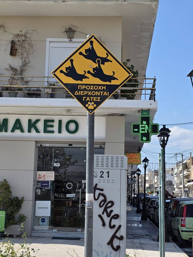New Road Signs in Salamina Warn Drivers About Stray Cats