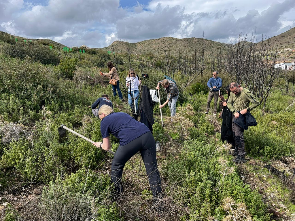 Rhodes’ Path to Regeneration