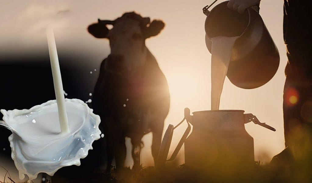 Agriculture-Livestock Input Price Index up 1.3% in January 2026