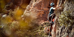 Climber Tragically Dies in Nafplio after Bee Sting