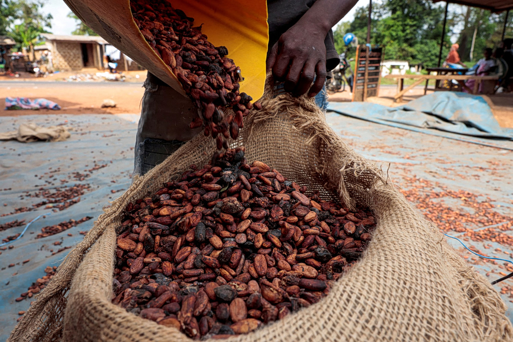 Coffee Prices May Plunge Like Cocoa, Experts Warn