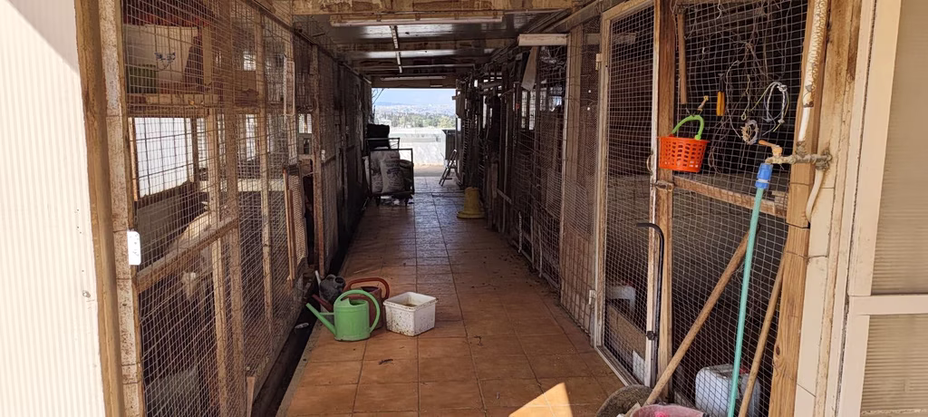 Illegal Farm Discovered in Central Athens Apartment