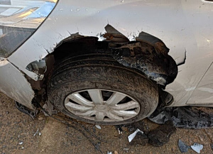 Dog Bites Off a Chunk of …Car (Pics)