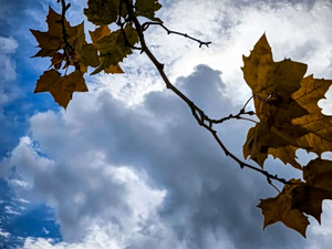 Unsettled Palm Sunday Weather, Gradual Improvement Through Holy Week