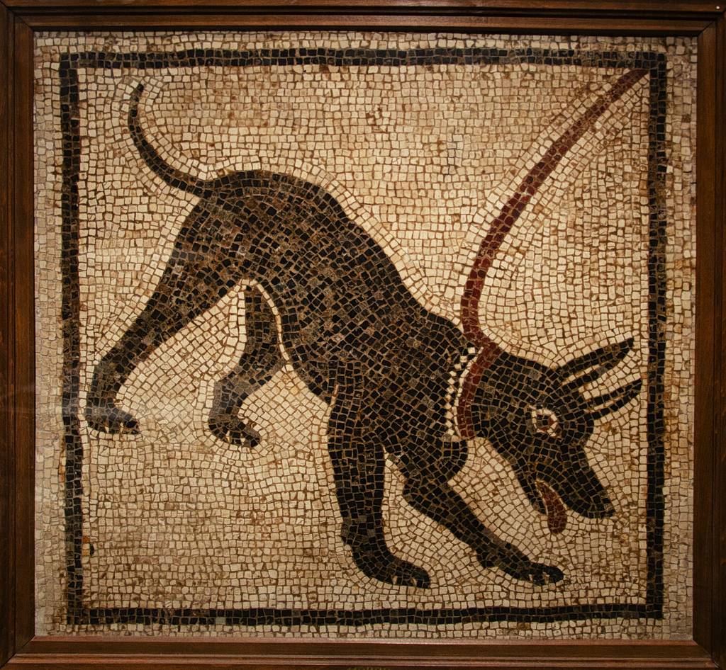 New Genetic Study: Oldest dog lived alongside humans in Neolithic Turkey