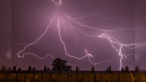 Why Does Electricity “Shock” Us? The 2,500-Year Mystery Solved