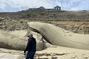 Nantucket’s Oceanfront Homes Are Sliding Into the Sea. The Locals Don’t Care.