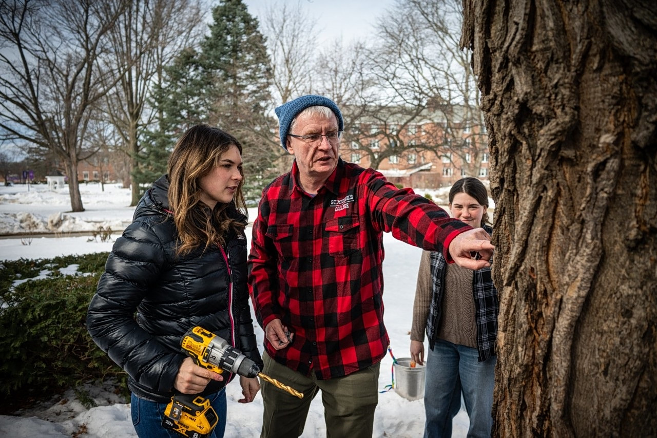 The Small Private Colleges Dying in a Winner-Take-All University Marketplace