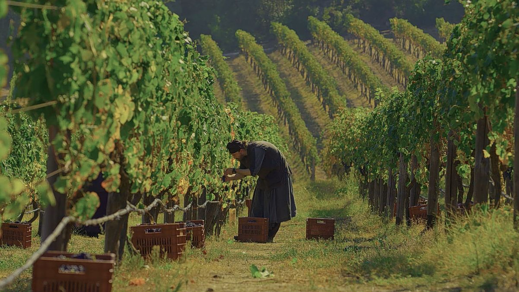 Monastic Tables: Where Ancient Tradition Meets Modern Gastronomy