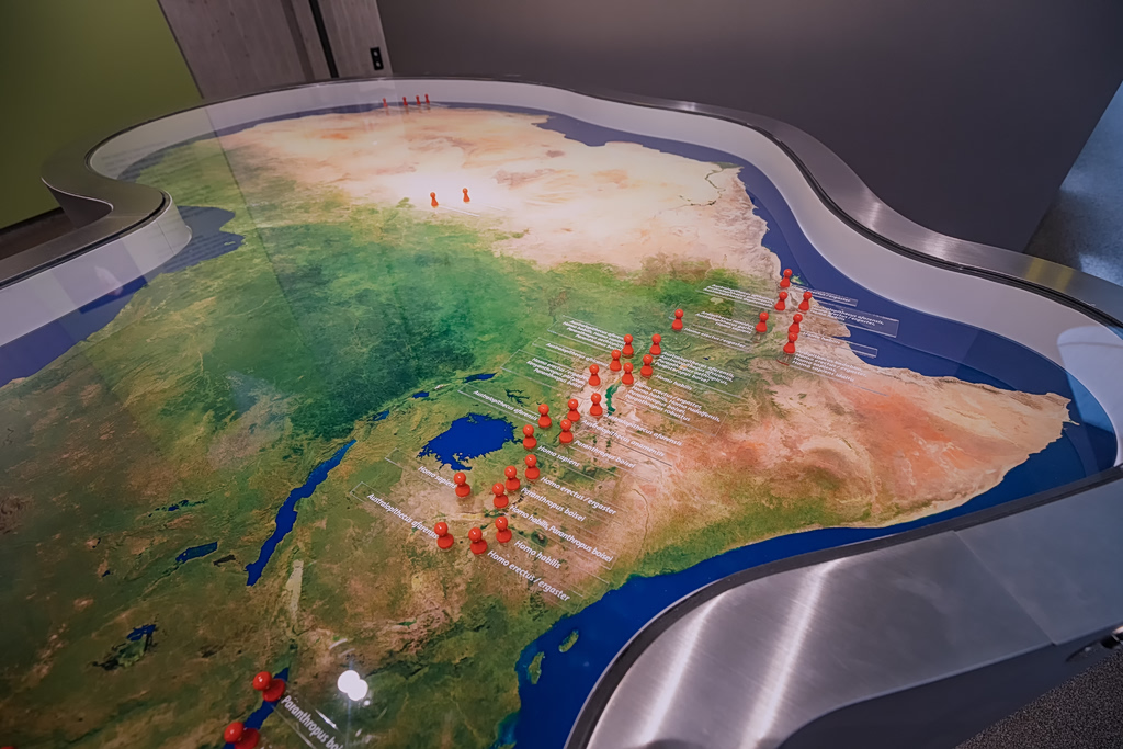 Newly Discovered Homo sapiens Skeletons Reveal Unknown Death Rites