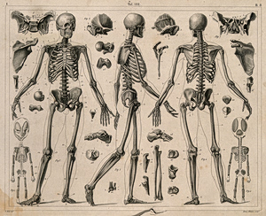 Dozens of “Seated” Skeletons Discovered in a School Courtyard