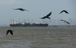 IEA: Europe Flights May Be at Risk Due to Imminent Fuel Shortage