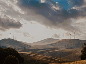 The “Hidden Cost” of the Green Transition