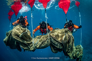 Fish Farm Waste Is Piling Up Off Greece’s Coasts