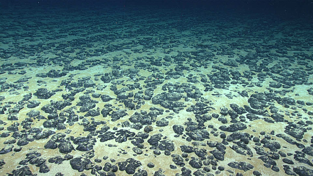The Science Behind Mining for Riches on the Deep-Sea Floor