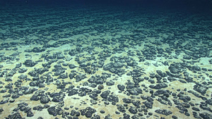 The Science Behind Mining for Riches on the Deep-Sea Floor
