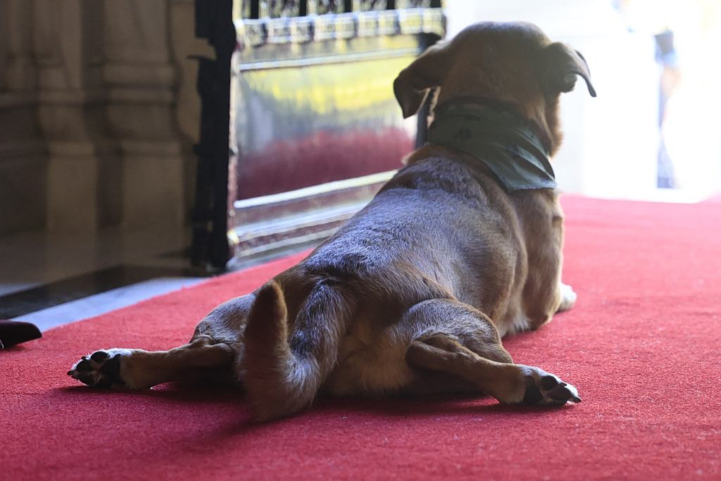 Macron at Maximos: New Defense Agreement Being Signed