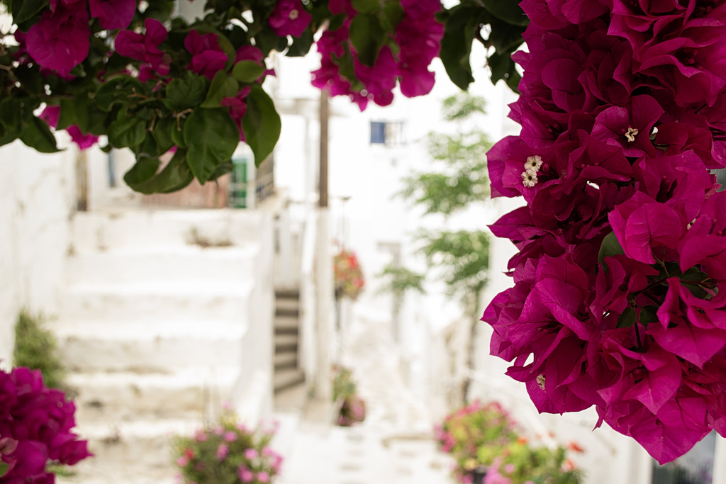 Social Tourism Program: Official Extension Announced