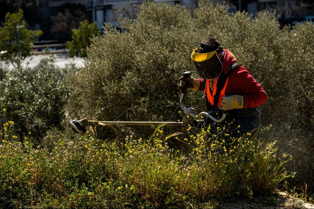 Athens Issues Mandatory Property Clean-Up Deadline Ahead of Fire Season
