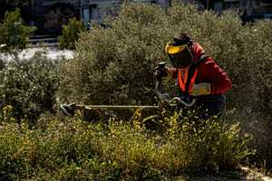 Athens Issues Mandatory Property Clean-Up Deadline Ahead of Fire Season