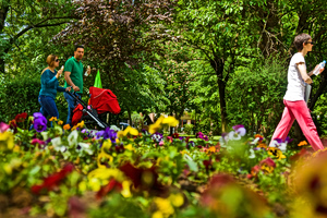 May Day in Greece: Wildflowers, Wreaths and Ancient Rituals
