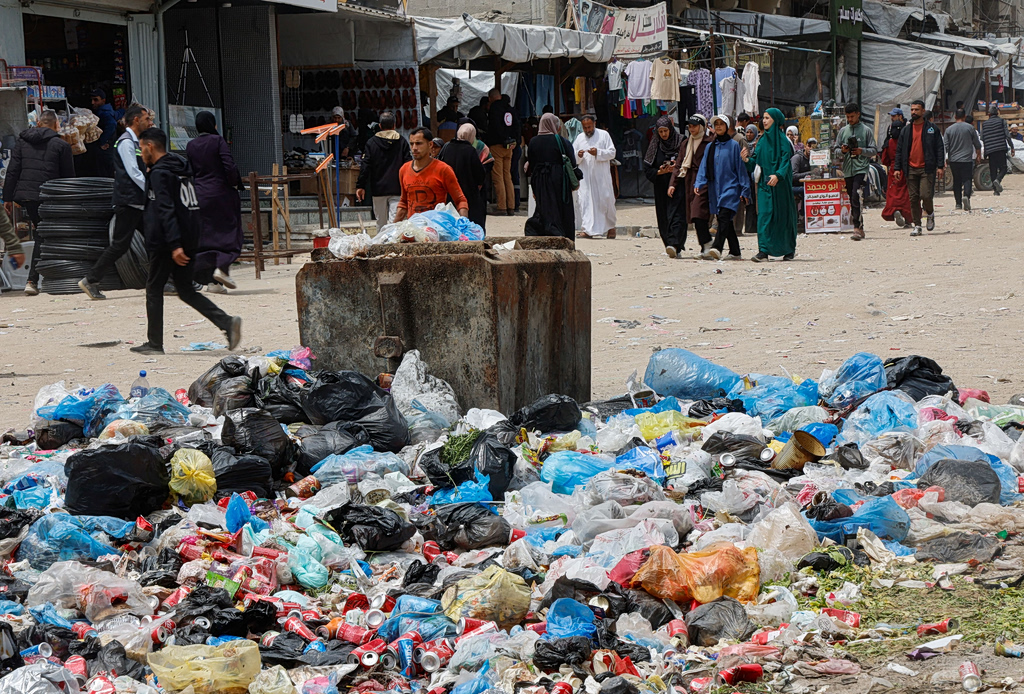 Rats Spread Disease in Gaza’s Displaced Camps