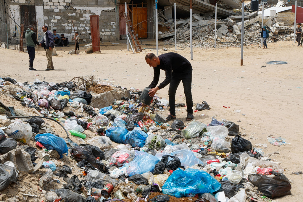 Rats Spread Disease in Gaza’s Displaced Camps