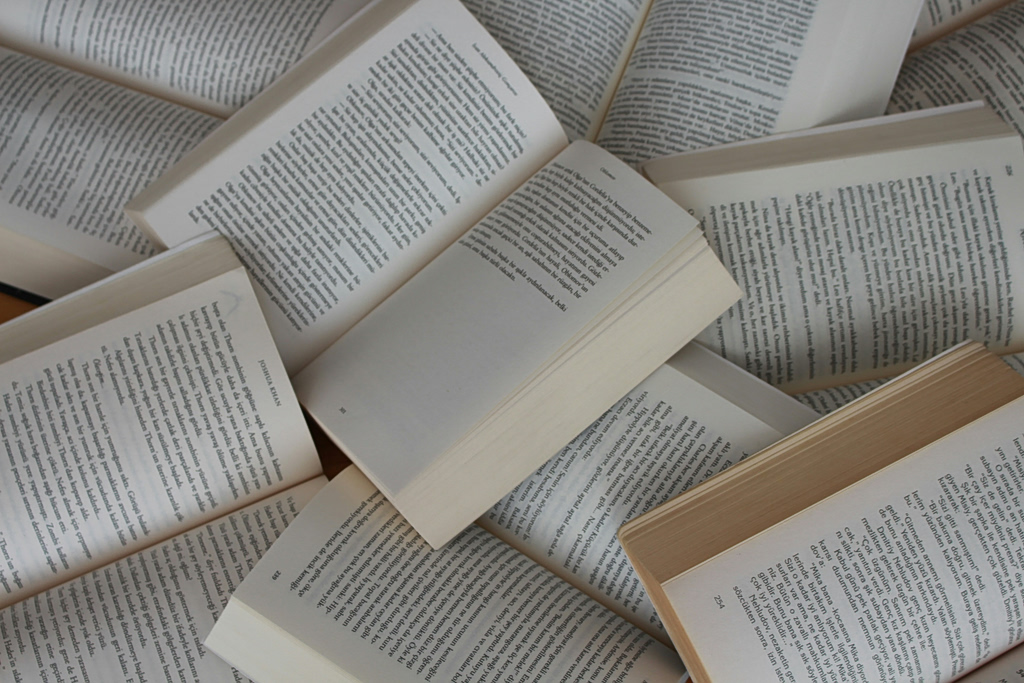 11 Books to Read: The Best Reviews of April