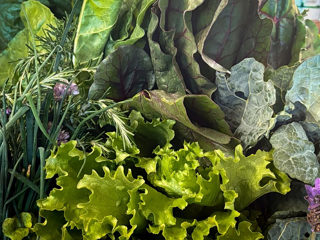 Crete’s Wild Greens: A Living Tradition Rooted in Land and Memory