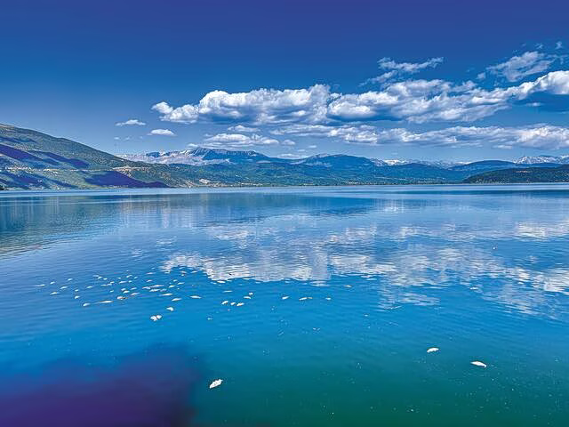 Mass Fish Deaths in Northern Greece Under Investigation