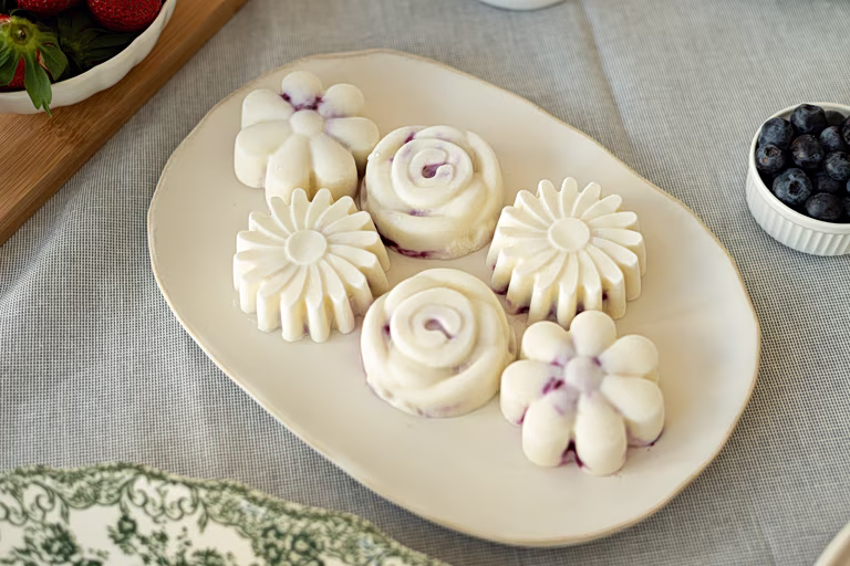 Blueberry Yogurt Bites