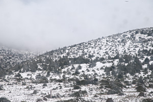 Weekend Cold Snap Most Extreme Ever Recorded in May
