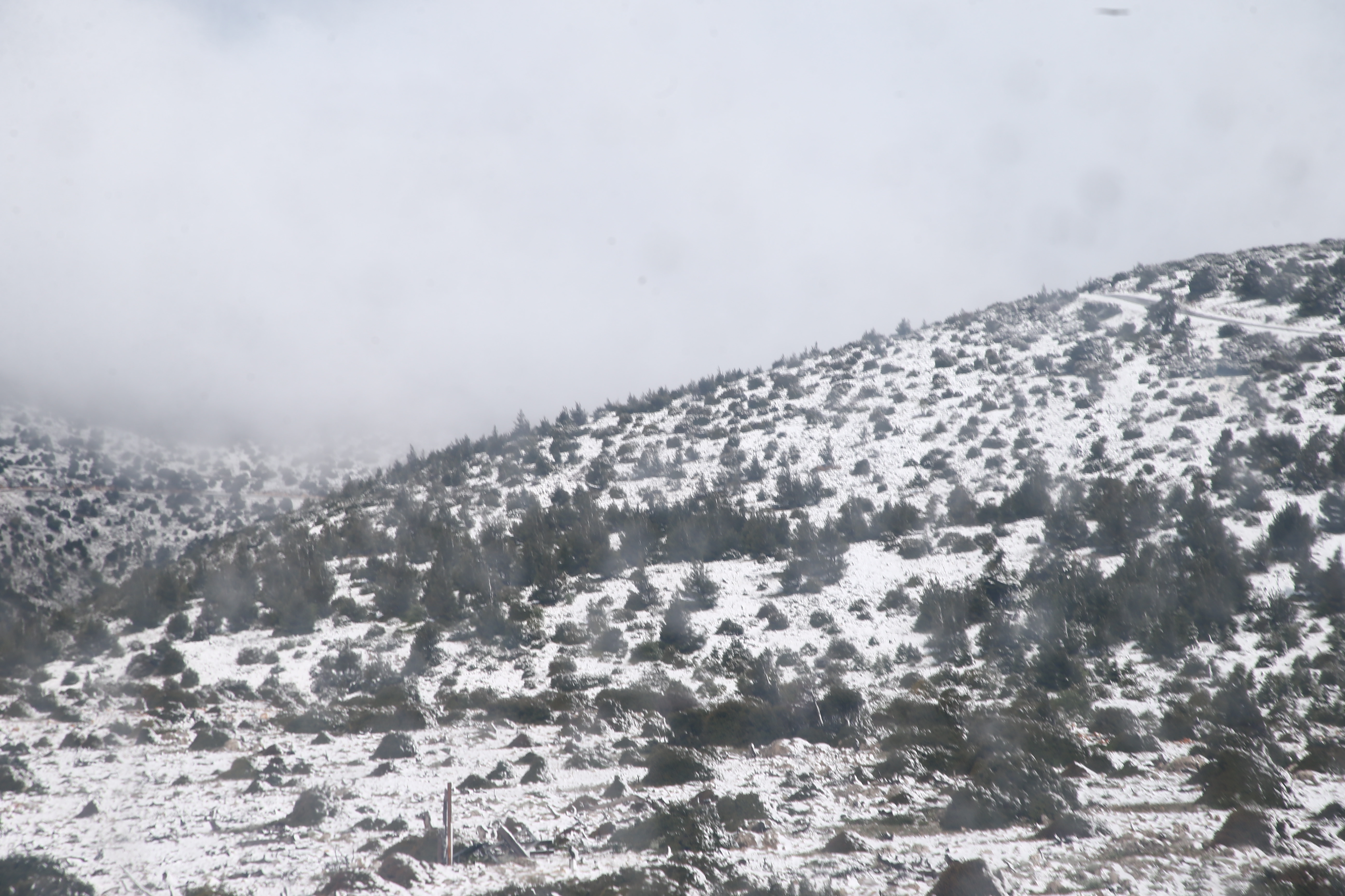 Weekend Cold Snap Most Extreme Ever Recorded in May