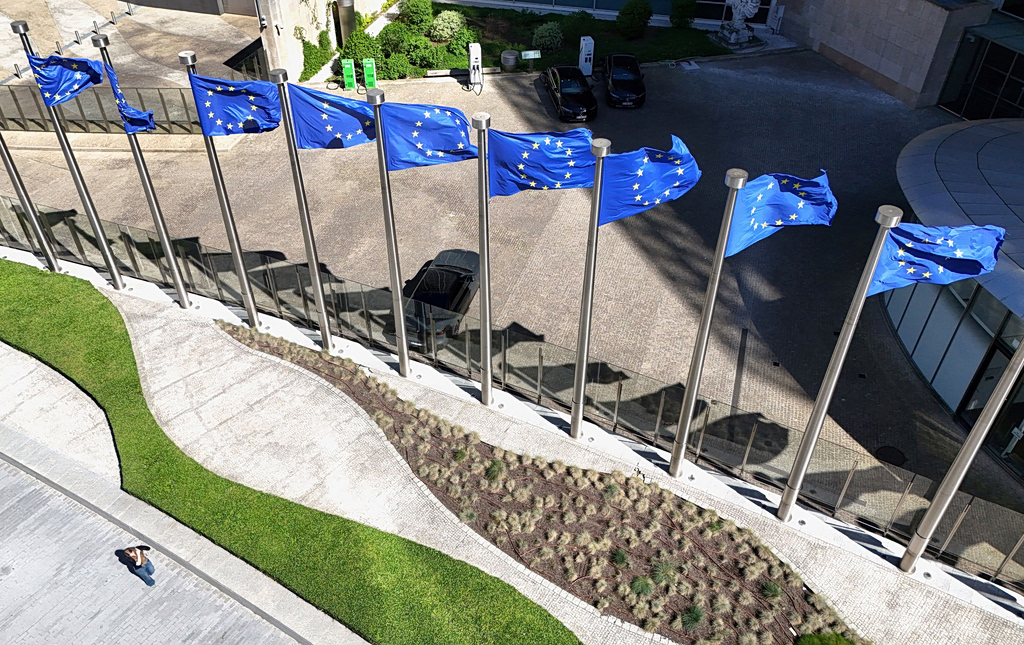 EU Risking Sustainability Leadership, Warns MEP Wolters
