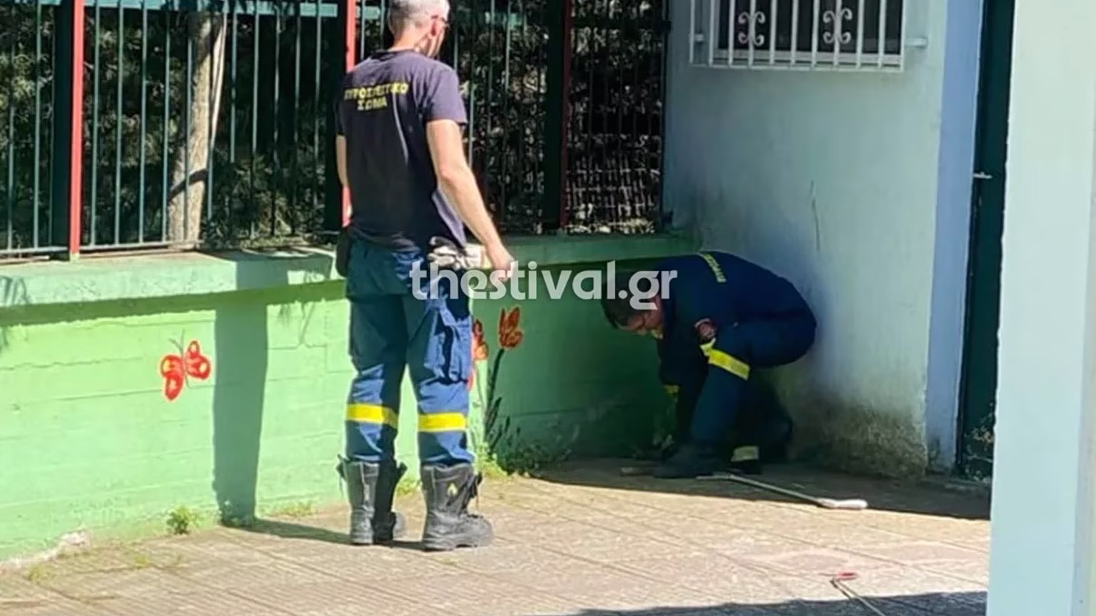 Snake Sightings at Thessaloniki Kindergarten Spark Alarm