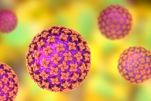 Hantavirus Infected Swiss Man Hospitalized