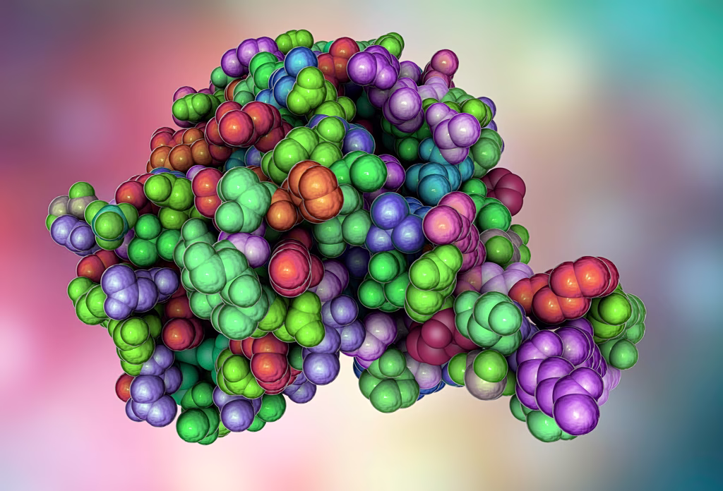 Hantavirus: Are we heading towards another pandemic?