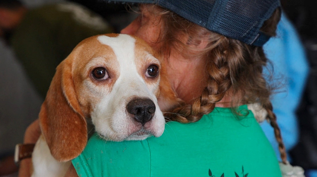 The Fight to Free Hundreds of Beagles From a Rural Wisconsin Research Lab