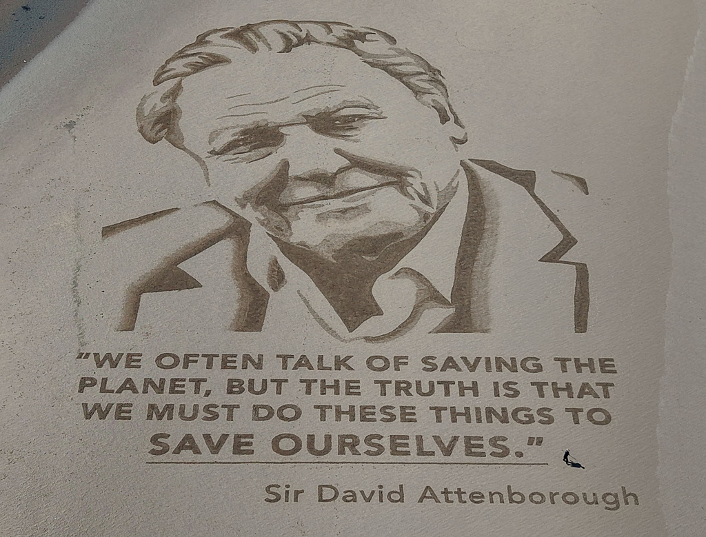 David Attenborough Turns 100, ‘Overwhelmed’ by Tributes