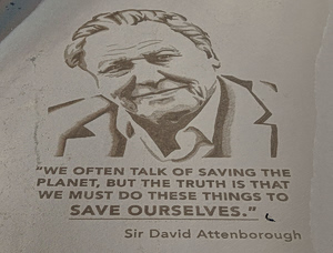 David Attenborough Turns 100, ‘Overwhelmed’ by Tributes