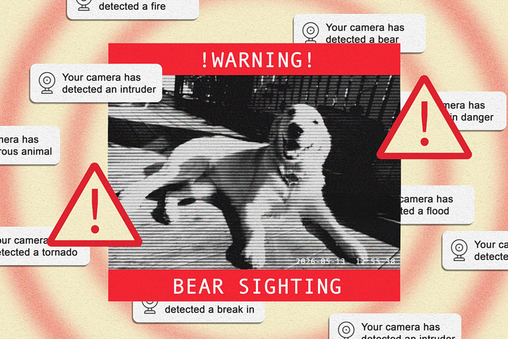 Security Cameras Are Failing Spectacularly at Common Sense